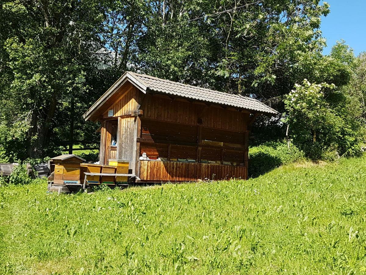 Apartments Nature Apis Landheim Anterselva di Mezzo Kültér fotó